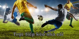 Cách soi kèo nhà cái HB88 chuyên nghiệp