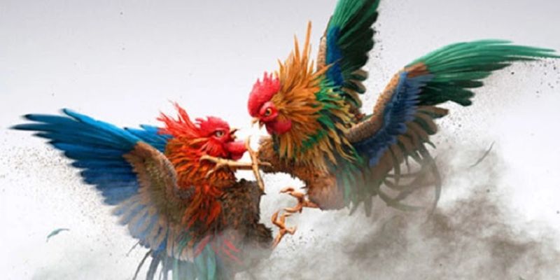 Chú ý các yếu tố bên ngoài
