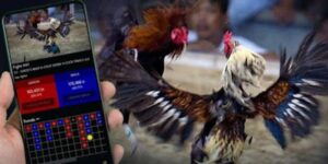 Các phương pháp cược trong tương lai